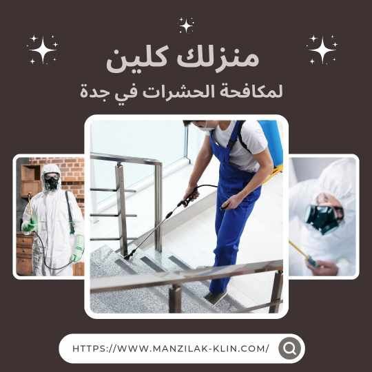 شركة رش حشرات فى حى النسيم 