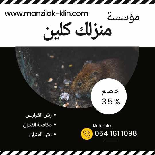 رش الفئران بجدة